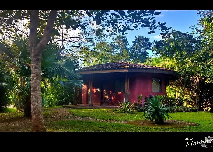 Mauna Loa Pinilla