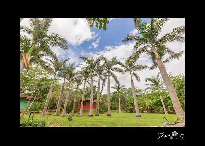 Hotel Mauna Loa 3*