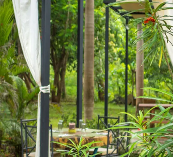 Hotel Mauna Loa 3*