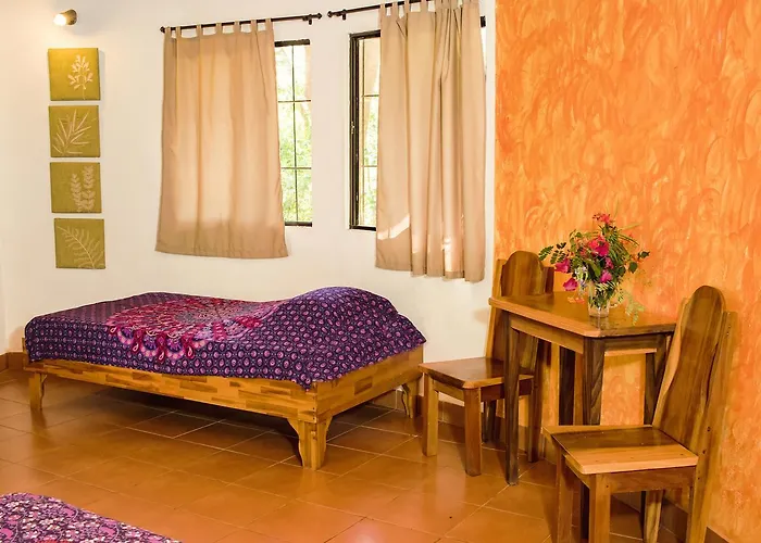 Hotel Mauna Loa Pinilla