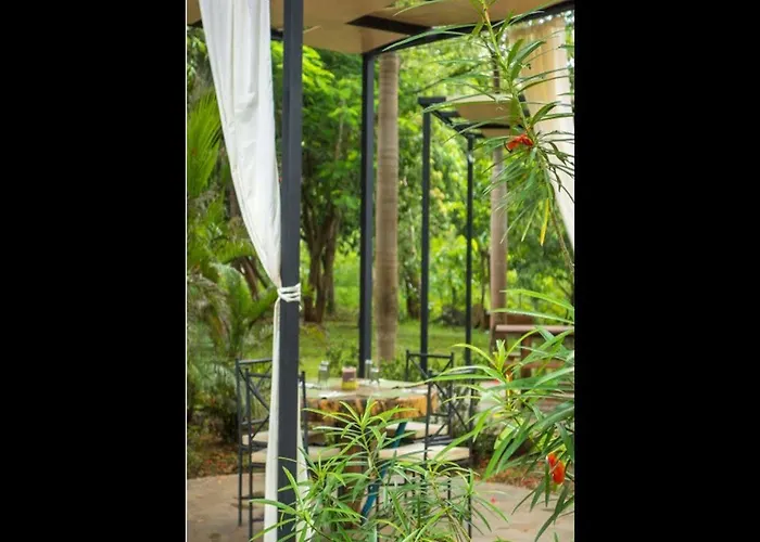 Hotel Mauna Loa Pinilla